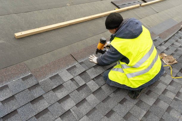 Best Metal Roofing Contractor  in Beacon Hill, WA