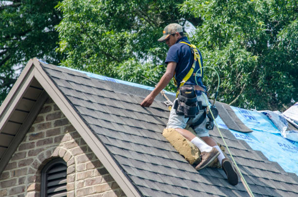 Best Gutter Installation and Roofing  in Beacon Hill, WA